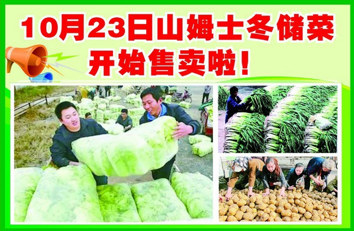 冬儲(chǔ)菜.png